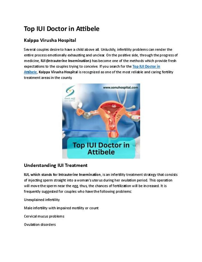 PDF document image preview