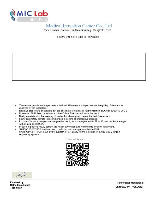 PDF document image preview