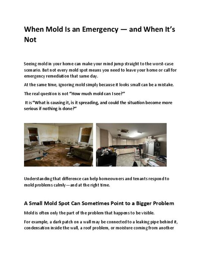 PDF document image preview