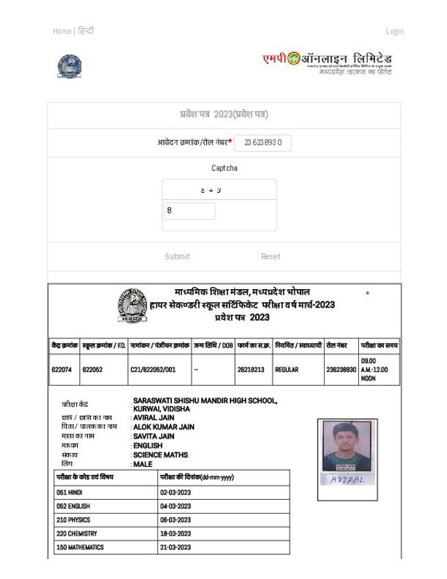 PDF document image preview