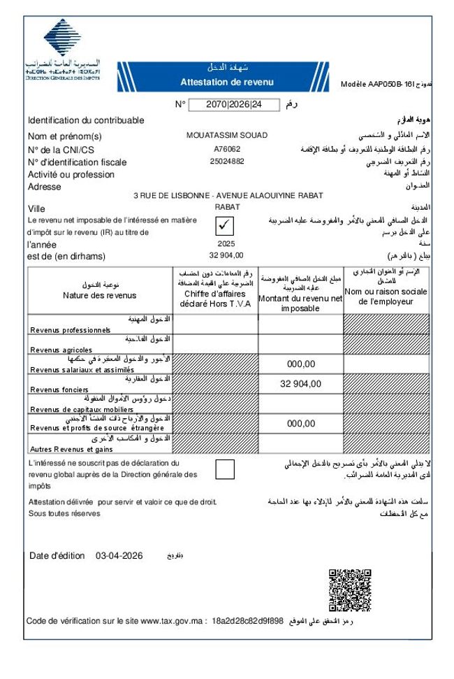 PDF document image preview