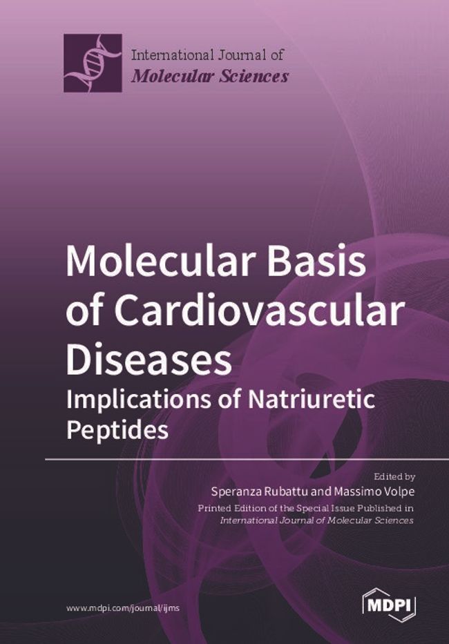 PDF document image preview