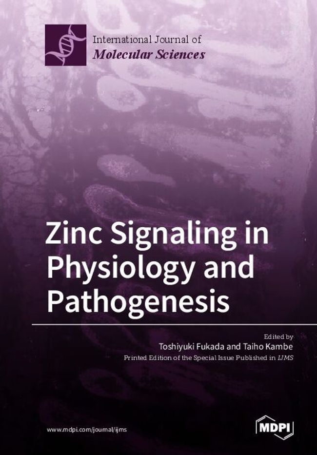 PDF document image preview