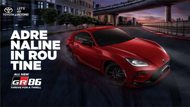 PDF document image preview