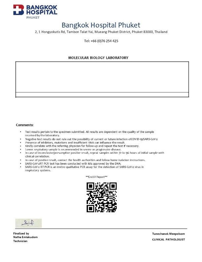 PDF document image preview