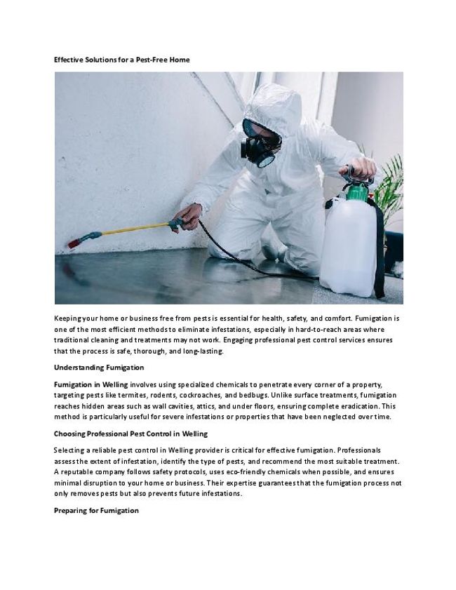 PDF document image preview