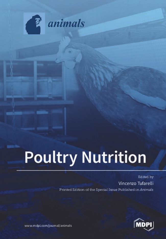 PDF document image preview