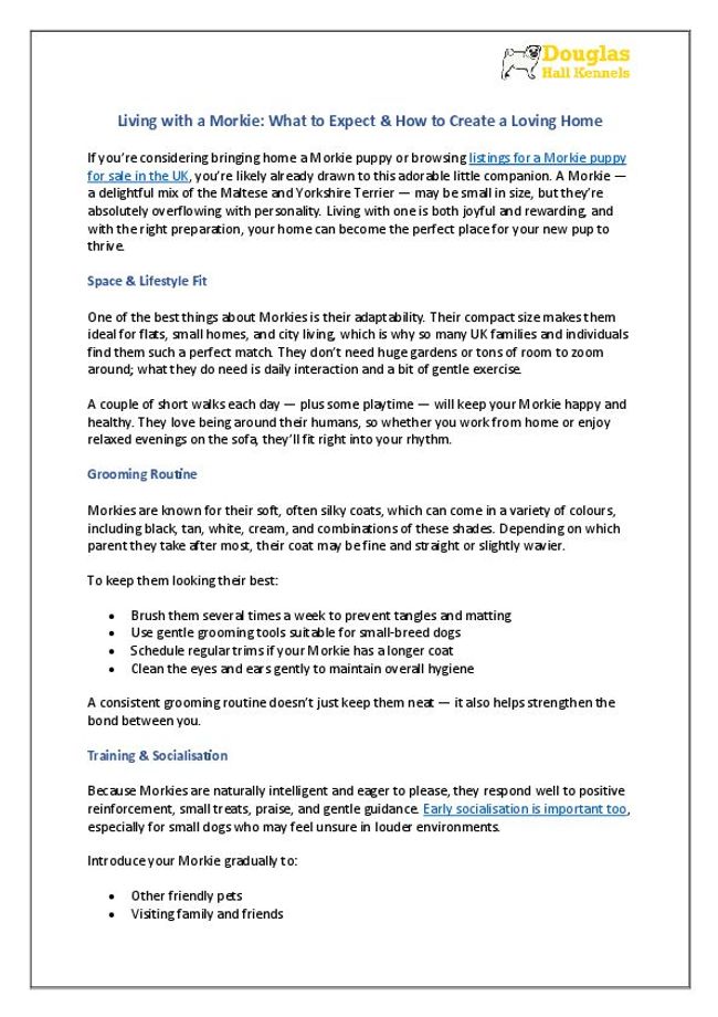 PDF document image preview