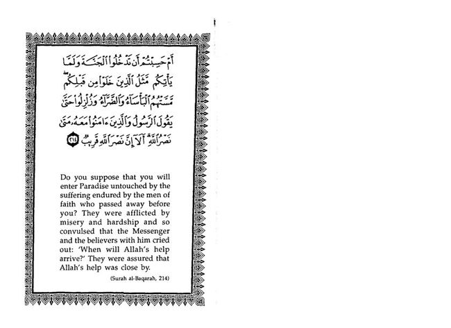 PDF document image preview