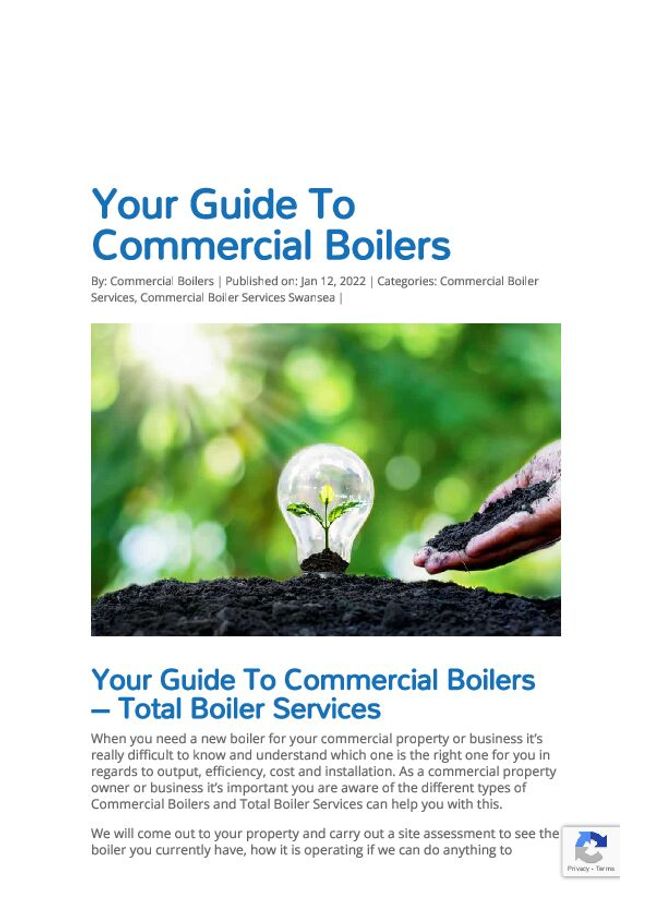 PDF document image preview