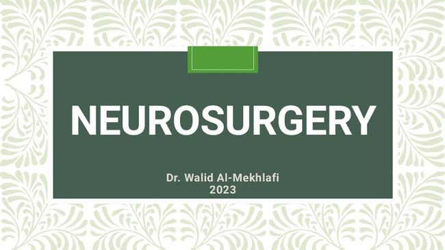 PDF-Dokument vorschau