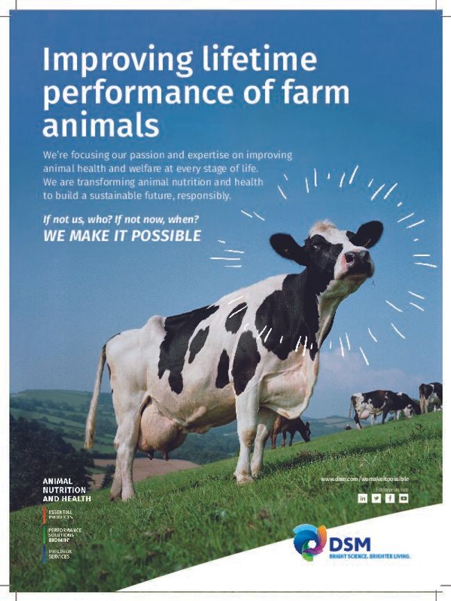 PDF document image preview