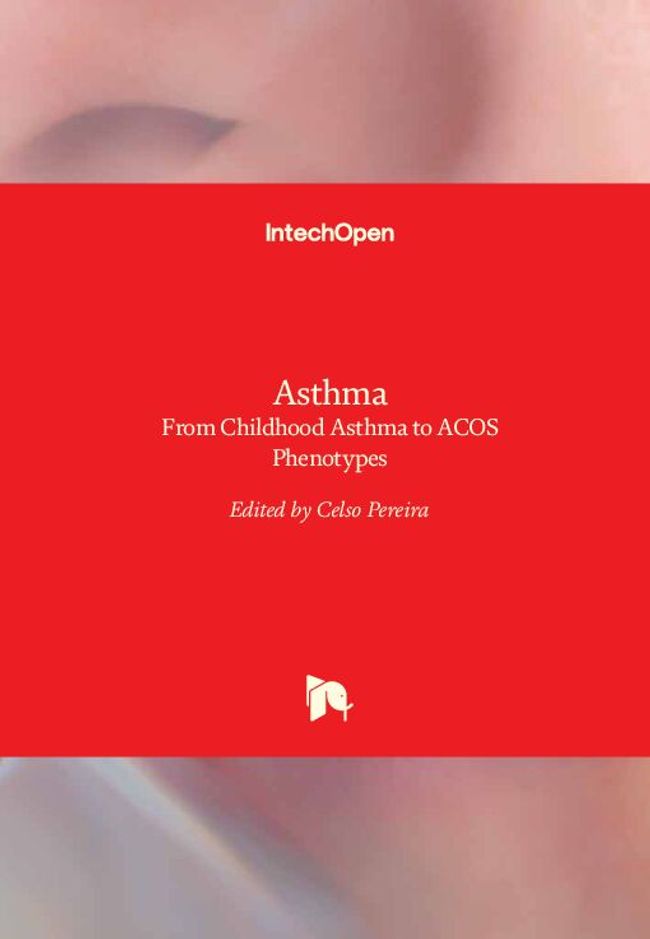 PDF document image preview
