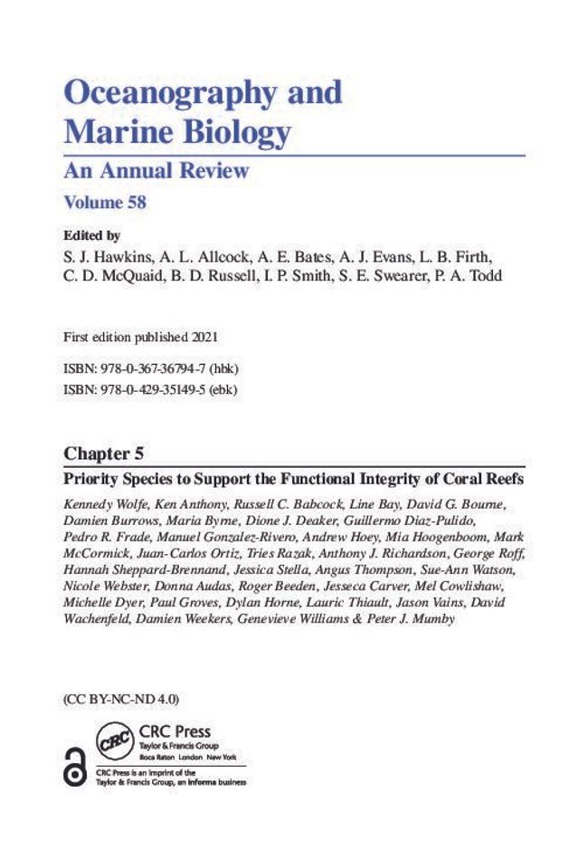 PDF document image preview