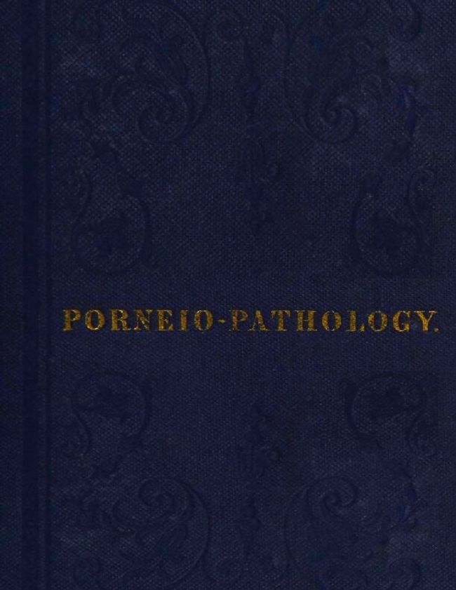 PDF document image preview