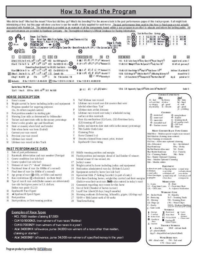 Anteprima d'immagine di documento PDF