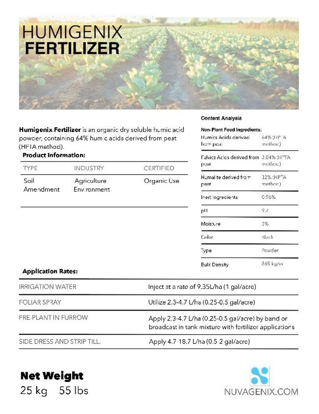 PDF document image preview