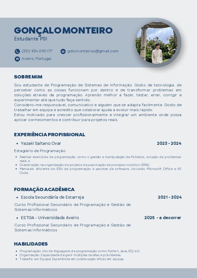 PDF document image preview