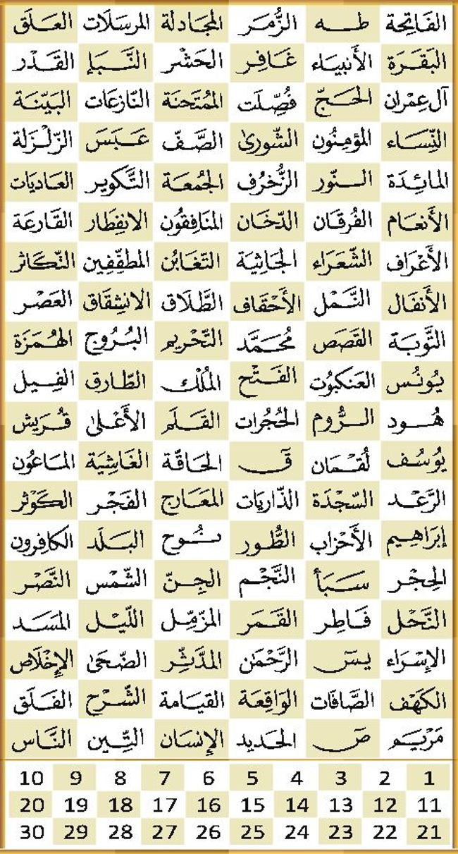 PDF document image preview