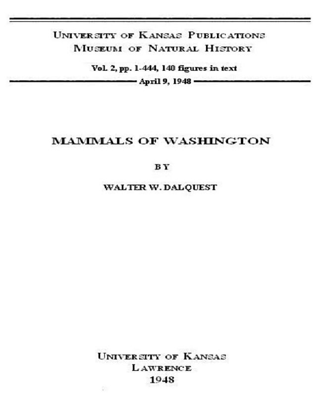 PDF document image preview