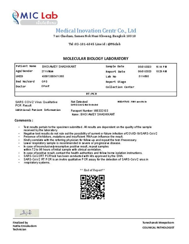 Anteprima d'immagine di documento PDF