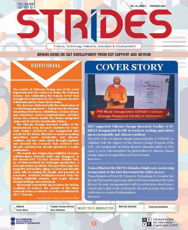 PDF document image preview