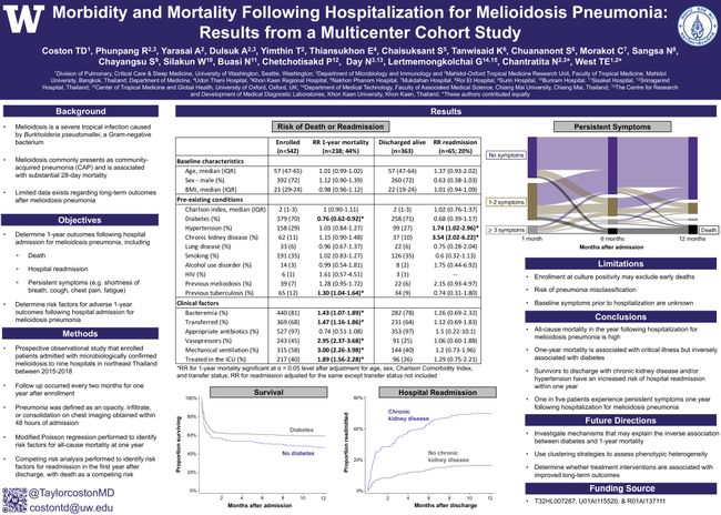 PDF document image preview