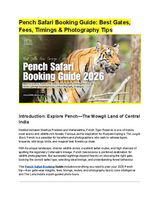 PDF document image preview