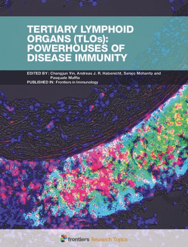 PDF document image preview