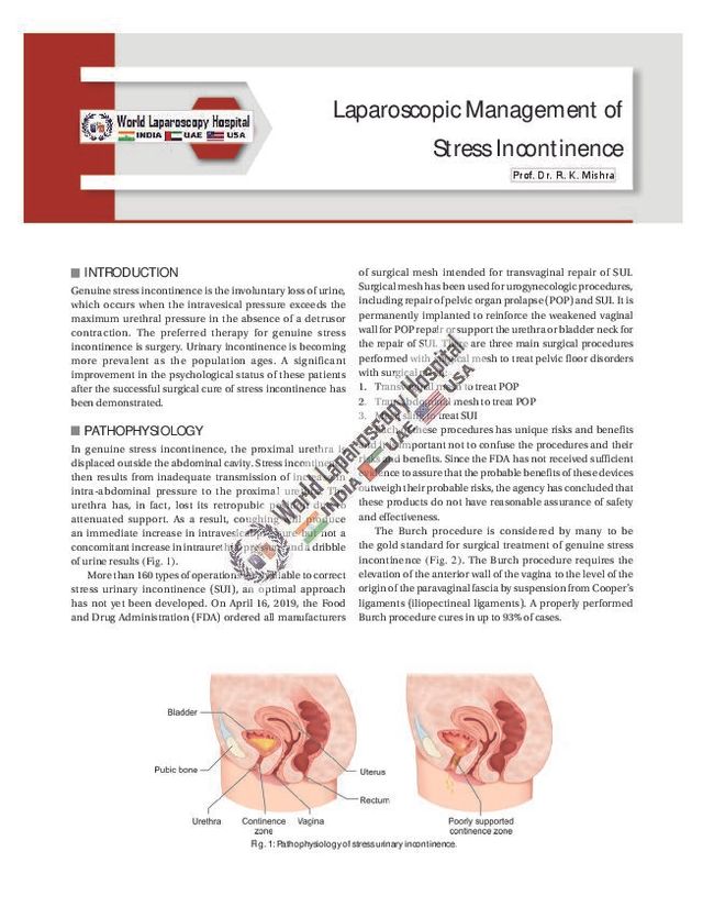PDF document image preview