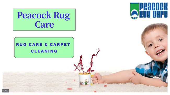 PDF document image preview