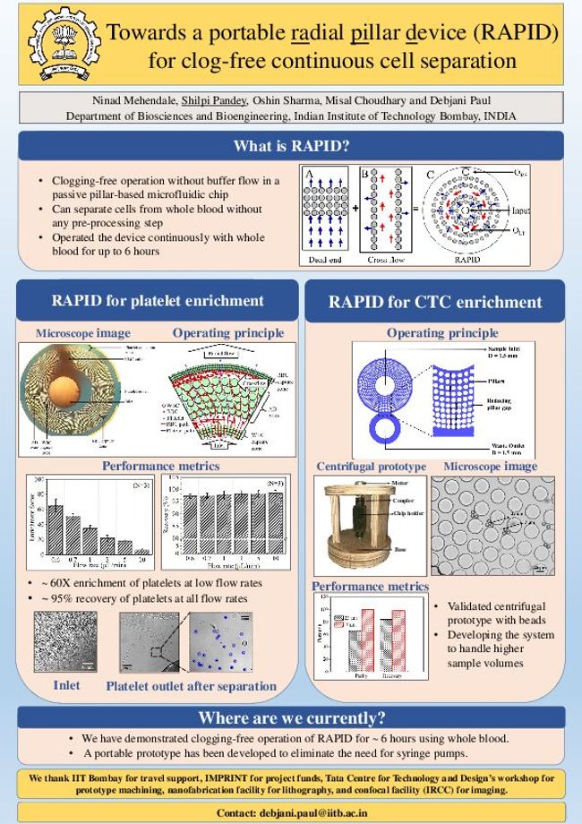 PDF document image preview