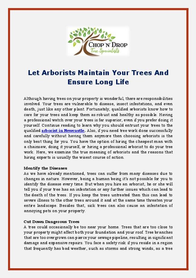 PDF document image preview