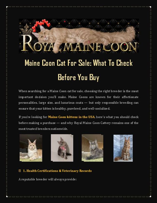 PDF document image preview