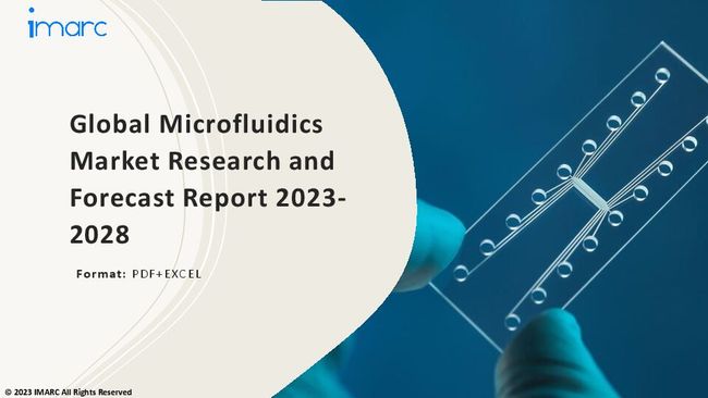 PDF document image preview