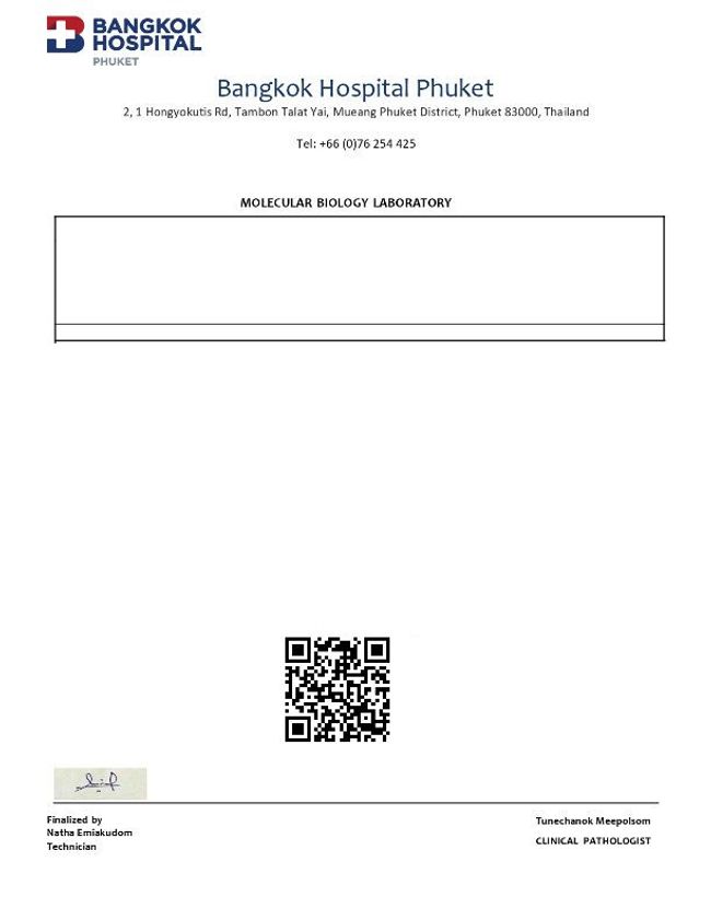 PDF document image preview