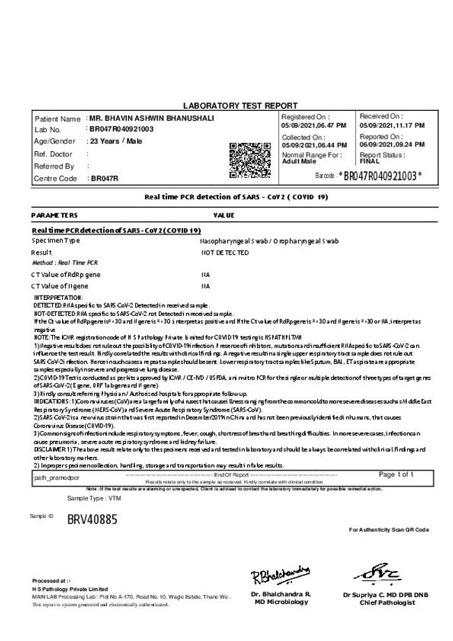 PDF document image preview