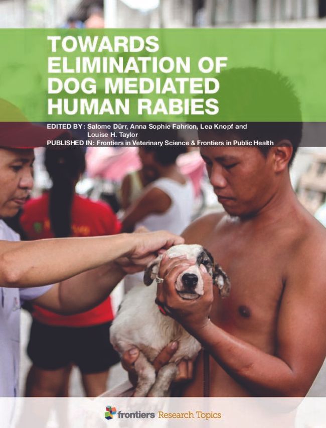 PDF document image preview