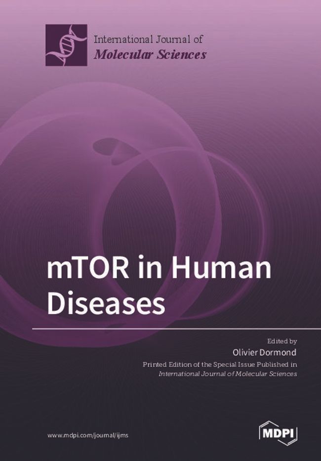 PDF document image preview