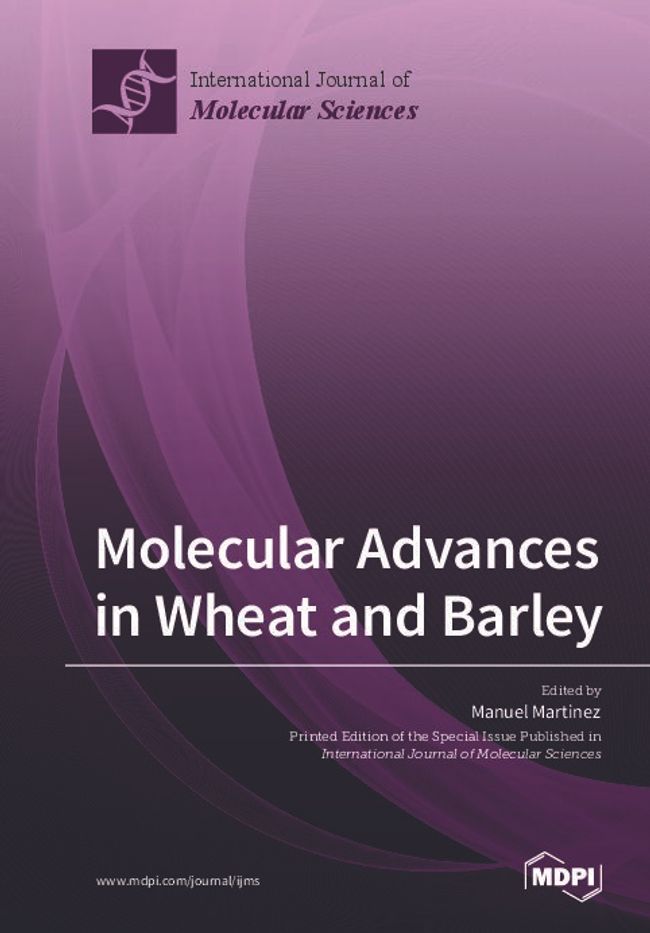 PDF document image preview