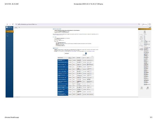 PDF document image preview