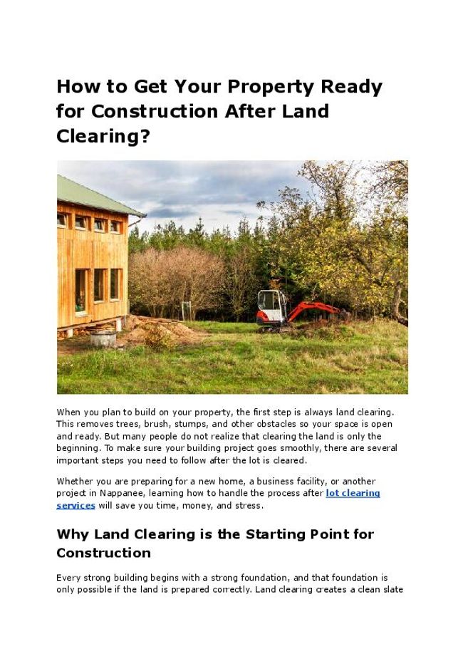 PDF document image preview