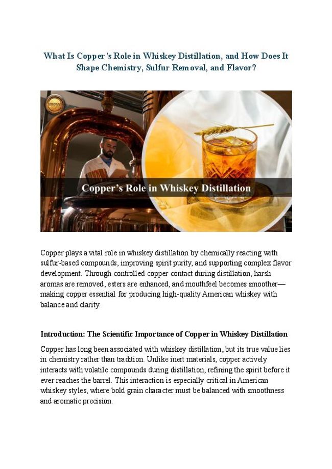 PDF document image preview