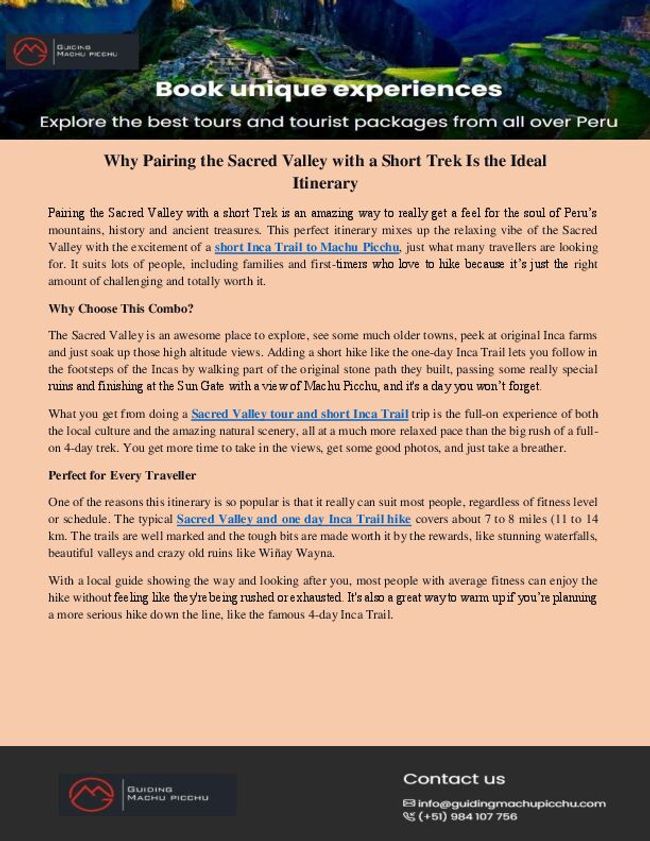 PDF document image preview