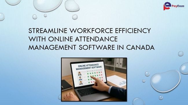 PDF document image preview