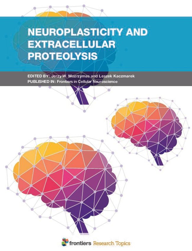 PDF document image preview