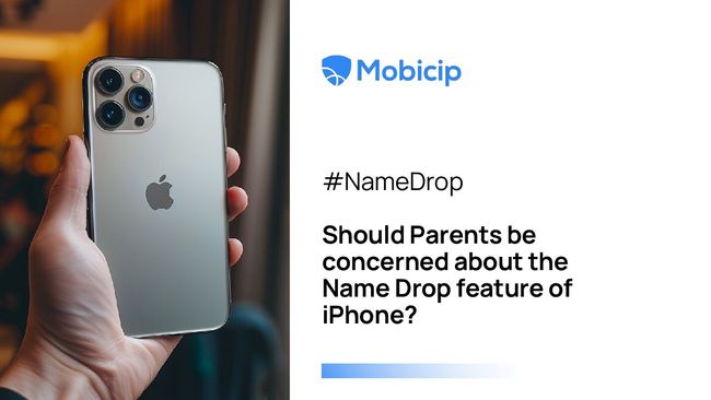 PDF document image preview