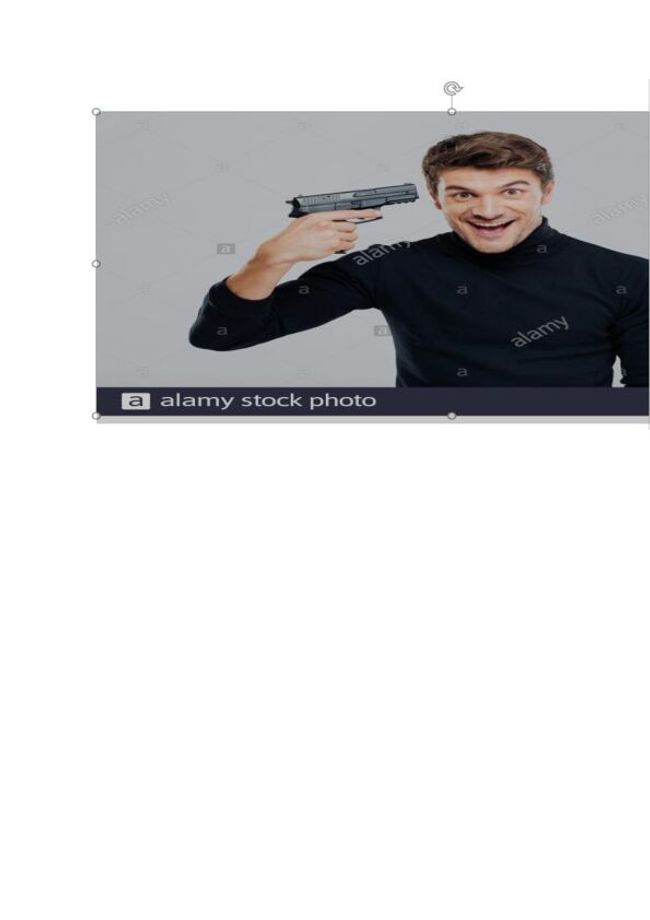 PDF document image preview