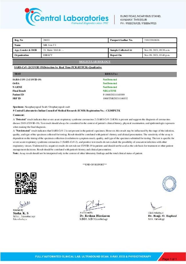 PDF document image preview