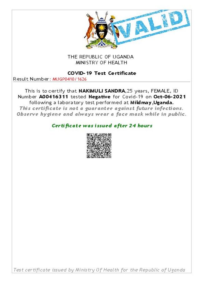 PDF document image preview